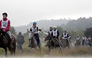 Endurance Riding